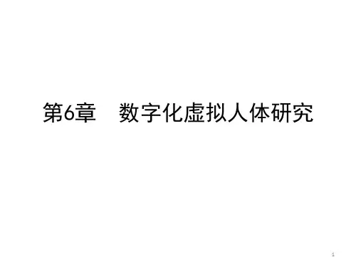 数字化虚拟人体研究ppt课件