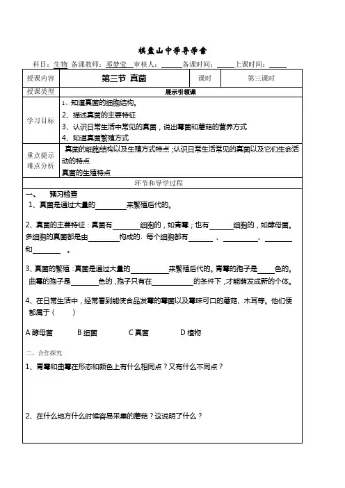 学生导学案模板