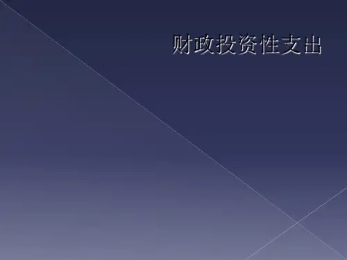 财政投资性支出