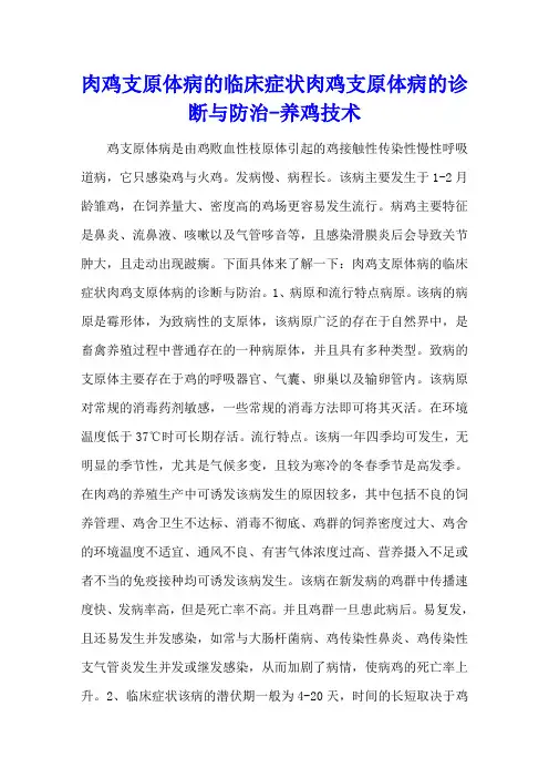 肉鸡支原体病的临床症状 肉鸡支原体病的诊断与防治 - 养鸡技术