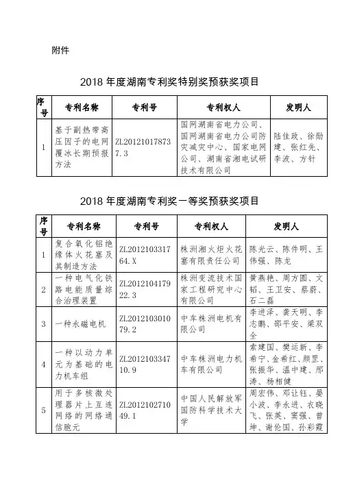 2018年度湖南专利奖特别奖预获奖项目名单