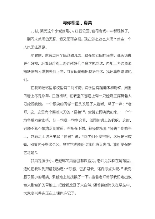初一作文：与你相遇作文600字