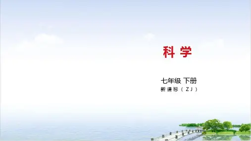 浙教版七级科学下册复习课ppt对环境的感觉本章复习