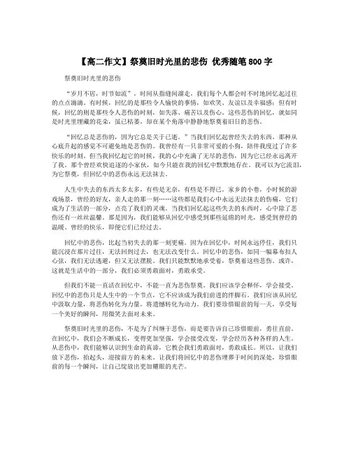 【高二作文】祭奠旧时光里的悲伤 优秀随笔800字