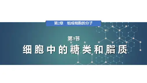 细胞中的糖类和脂质ppt课件