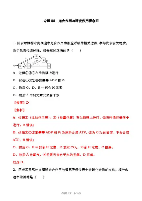 专题08 光合作用与呼吸作用概念图-备战2021年高考一轮复习重难点题型专项突破(解析版)