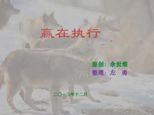 赢在执行(员工版)