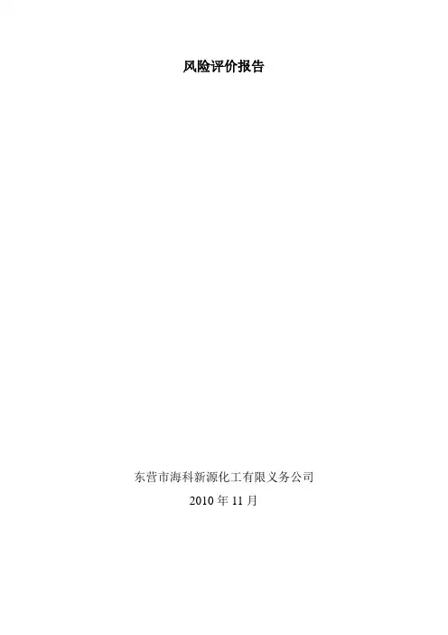 风险评价报告