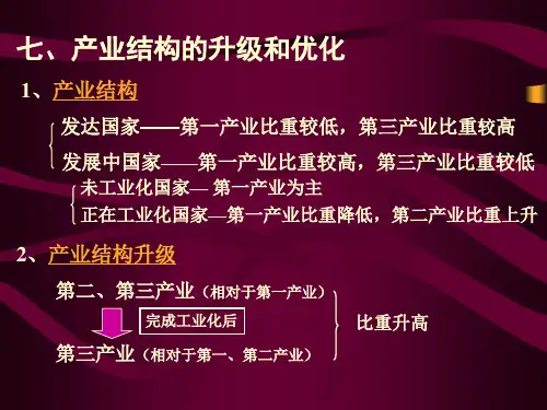 专题24 第三产业与经济发展(3)强烈推荐.ppt
