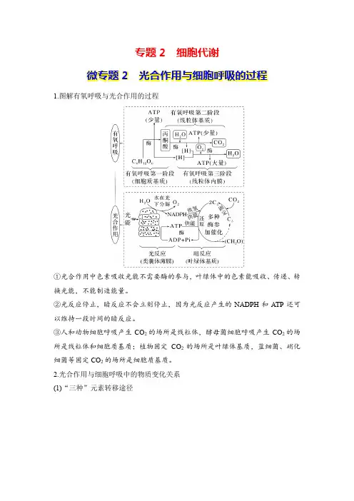 专题2 细胞代谢 微专题2 光合作用与细胞呼吸的过程