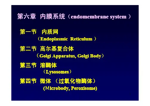 chapter6 内膜系统