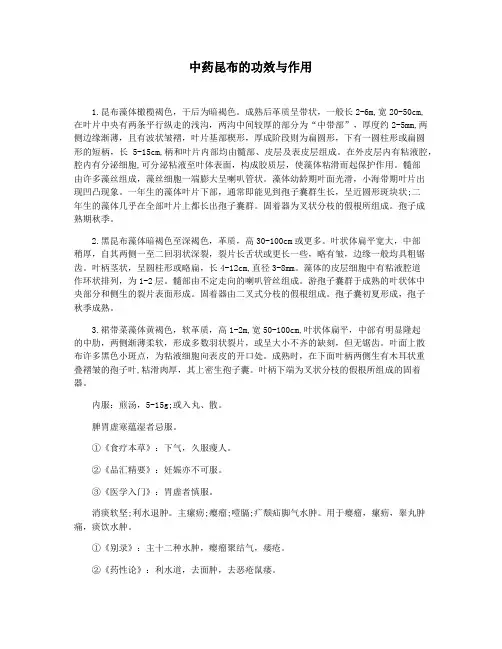 中药昆布的功效与作用