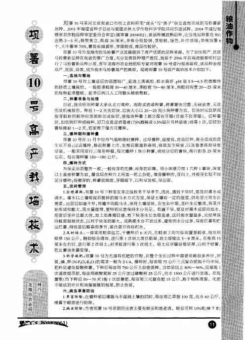 坝薯10号高产栽培技术