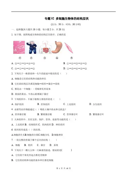中考生物三轮复习必刷题(含答案和解析)专题02 多细胞生物体的结构层次