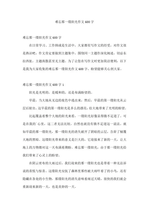 难忘那一缕阳光作文600字