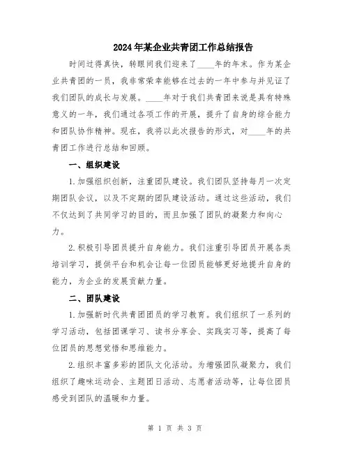 2024年某企业共青团工作总结报告