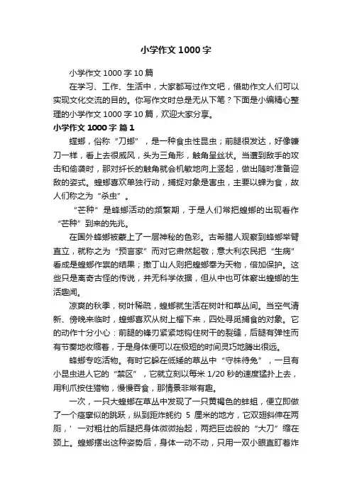 小学作文1000字10篇