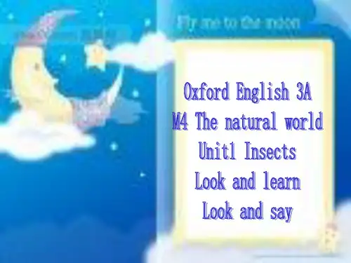 小学三年级英语课件 3A Module 4 Unit 1 Insects