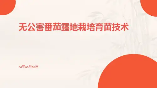 无公害番茄露地栽培育苗技术