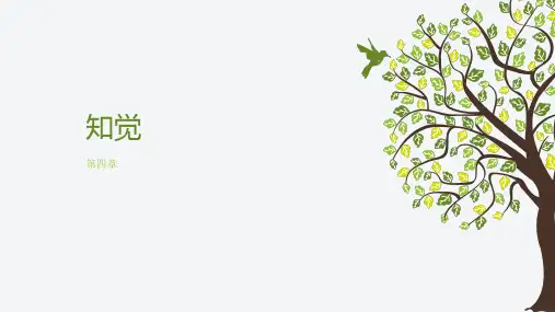 普通心理学(第二版)第四章