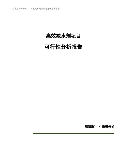 高效减水剂项目可行性分析报告(模板参考范文)
