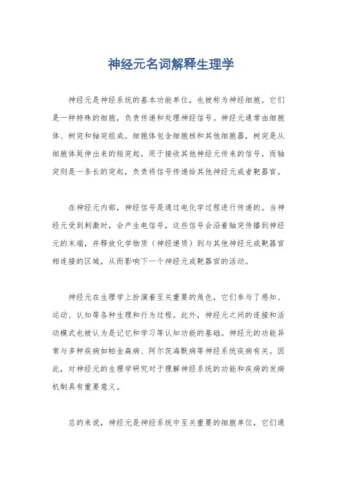 神经元名词解释生理学