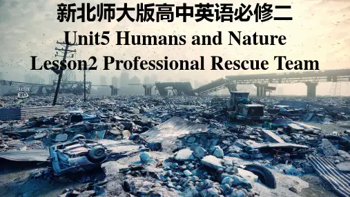 Unit5Lesson2ProfessionalRescueTeam课件-高一英语北师大版
