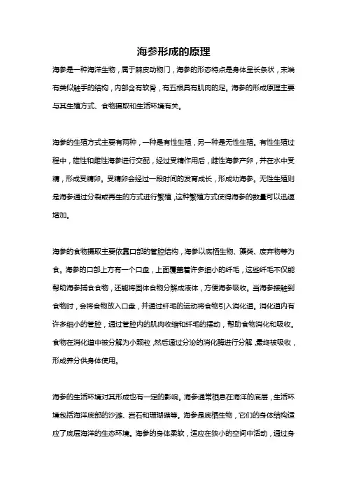 海参形成的原理