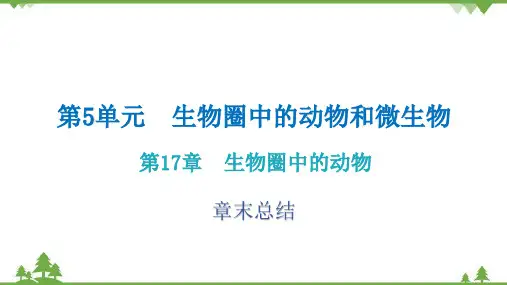 北师大版生物八年级上册 第17章生物圈中的动物章 末 总 结习题课件(共18张PPT)