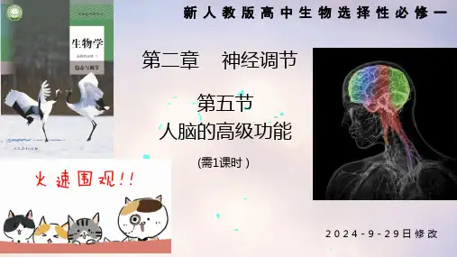 人教版高中生物选择性必修一  第2章第5节 人脑的高级功能 新课课件