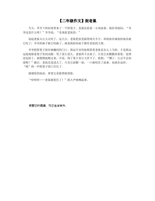 【二年级作文】捉老鼠