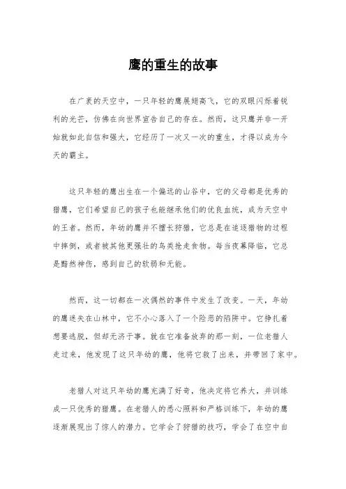 鹰的重生的故事