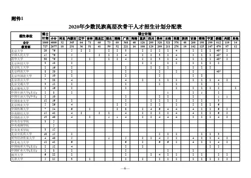 2020年少数民族高层次骨干人才招生计划分配表