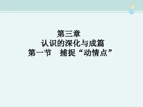 〖2021年整理〗《捕捉“动情点”》参考4完整教学课件PPT