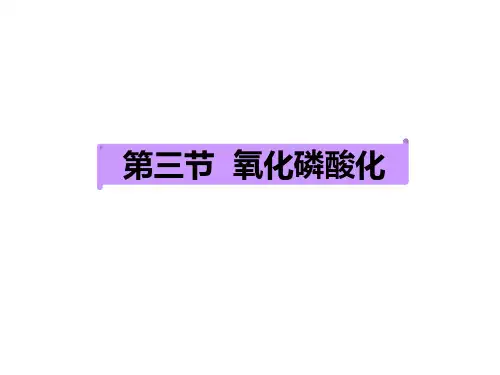 生物化学：第五章  第三节 氧化磷酸化