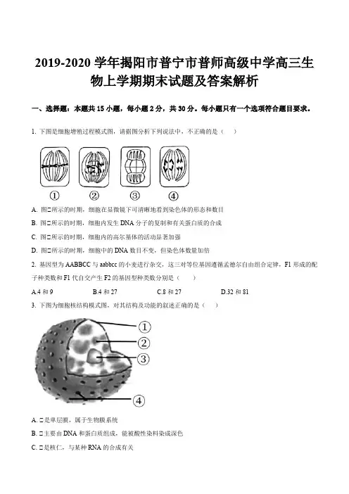 2019-2020学年揭阳市普宁市普师高级中学高三生物上学期期末试题及答案解析