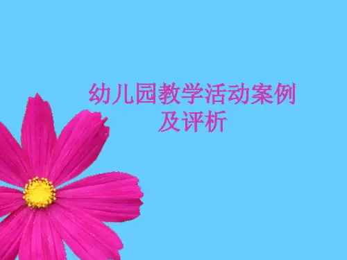 幼儿园教学活动案例及评析ppt课件