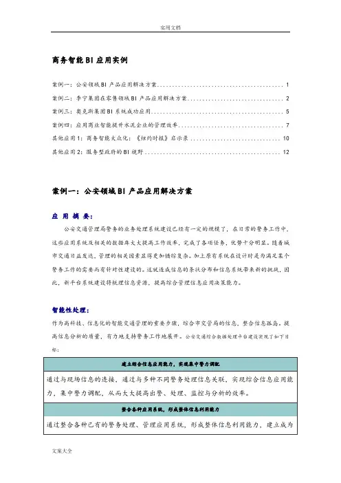 商务智能BI案例分析报告