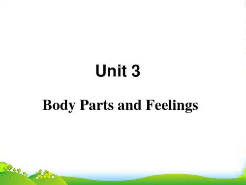 冀教版(河北)七年级英语上册课件：Lesson 13 Body Parts(共13张PPT)