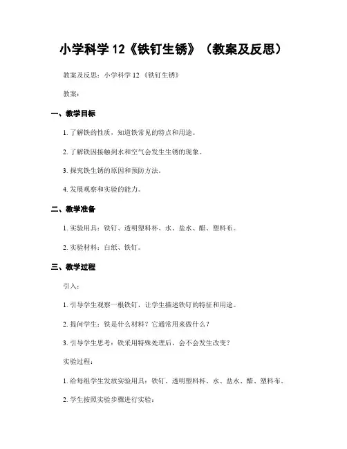 小学科学12《铁钉生锈》(教案及反思)