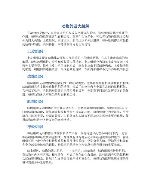 动物的四大组织