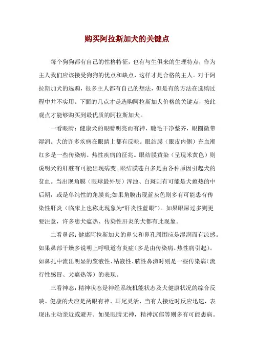 购买阿拉斯加犬的关键点