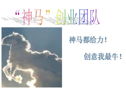 二手市场闲置中心创业大赛PPT