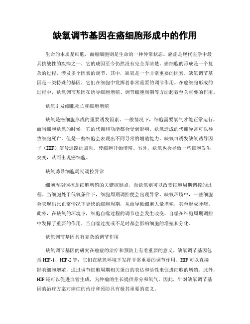 缺氧调节基因在癌细胞形成中的作用