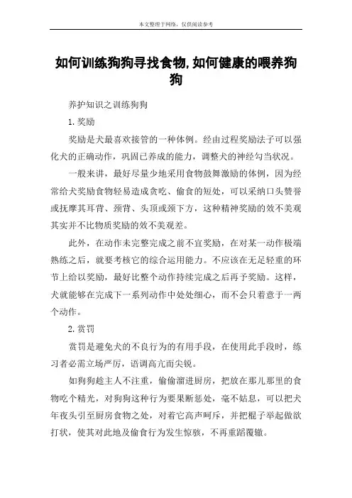 如何训练狗狗寻找食物,如何健康的喂养狗狗