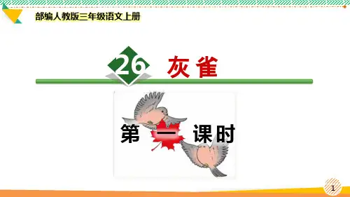 最新部编人教版三年级语文上册《灰雀》优质课件