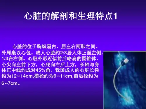 心脏超声讲义ppt课件