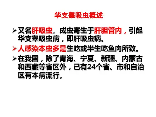 华支睾吸虫概述