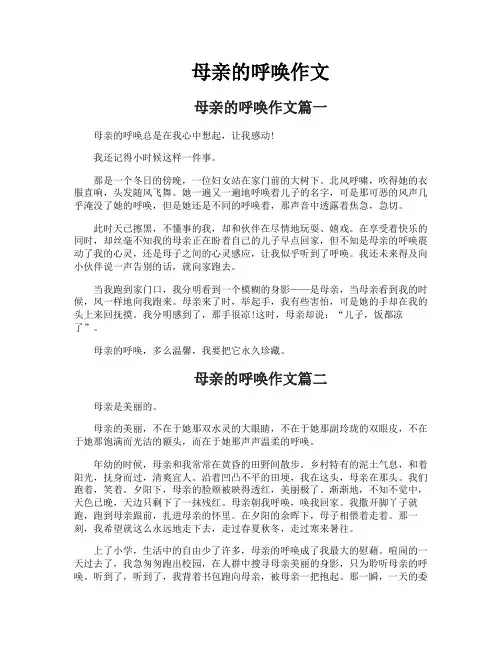 母亲的呼唤作文