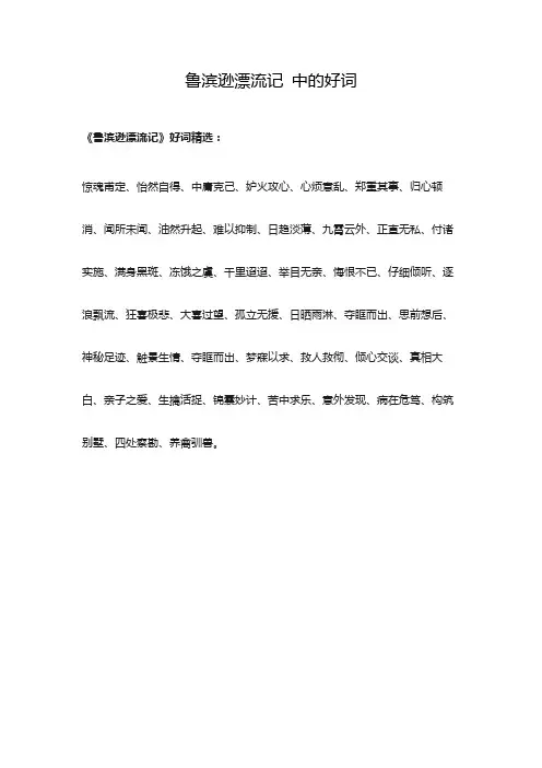 鲁滨逊漂流记 中的好词